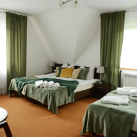 Hotel DW Paryżanka Poronin Zewnętrze zdjęcie