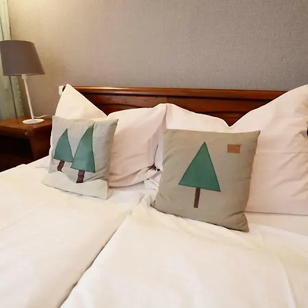 Hotel DW Paryżanka Poronin Zewnętrze zdjęcie