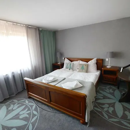 Hotel DW Paryżanka Poronin Zewnętrze zdjęcie